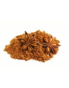 OrgoNutri Premium Quality Star Anise Powder, Chakra Phool Powder, 100g Flavoured and Aromatic Spice